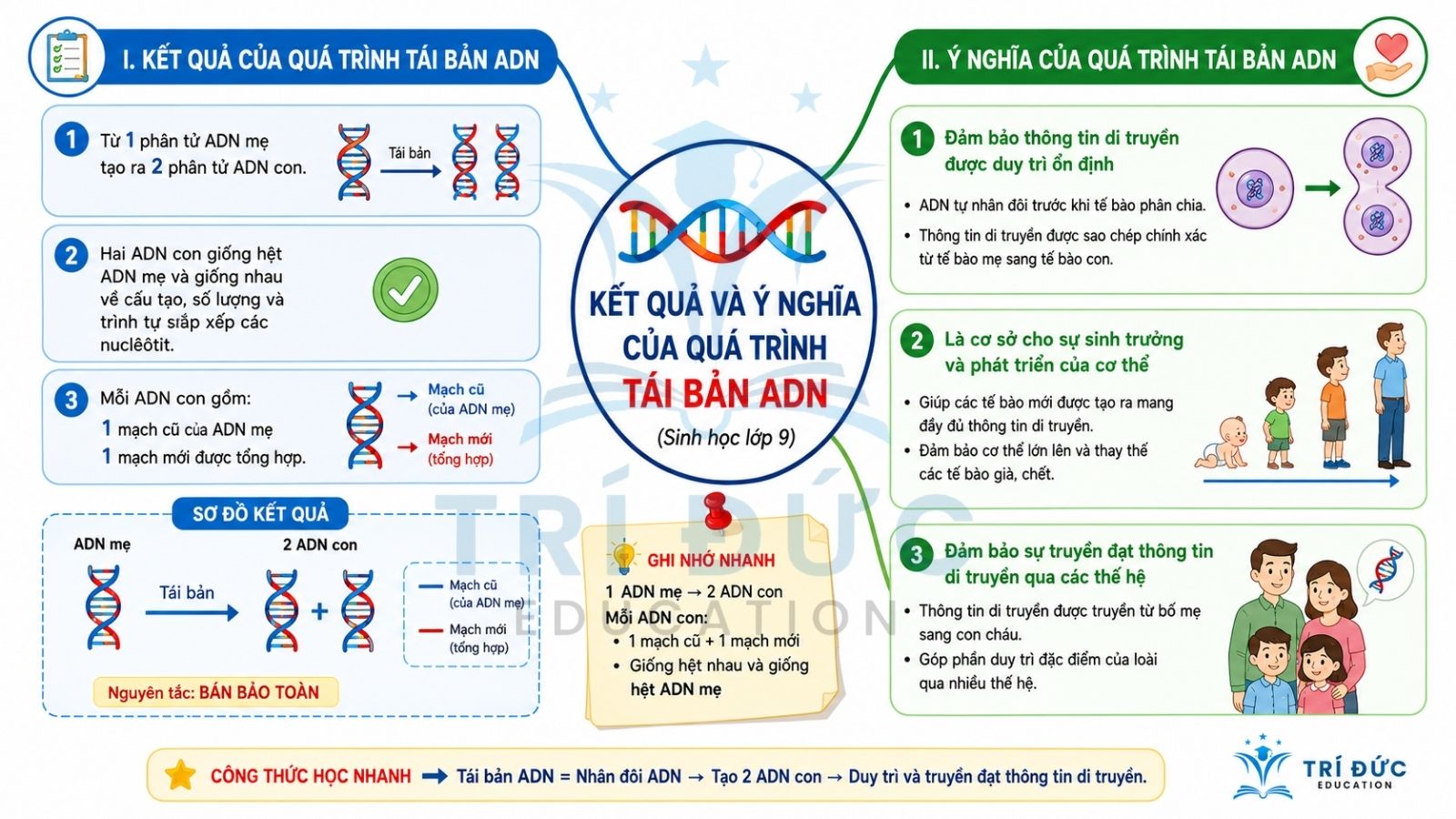 Kết quả và ý nghĩa của tái bản DNA 