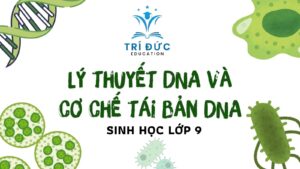 Kiến thức Sinh học lớp 12: Lý thuyết DNA và cơ chế tái bản DNA