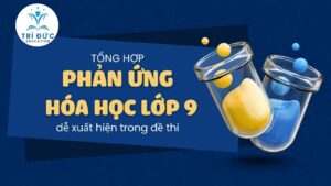 Tổng hợp phản ứng Hóa học lớp 9 dễ xuất hiện trong đề thi